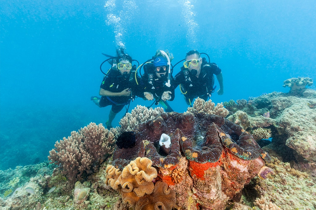 australia-queensland-great-barrier-reef