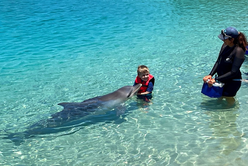 australia-goldcoast-sea-world