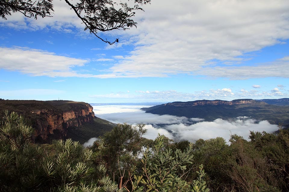 The Blue Mountains