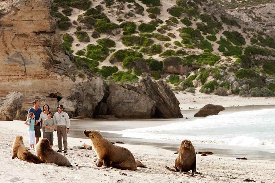 Kangaroo Island