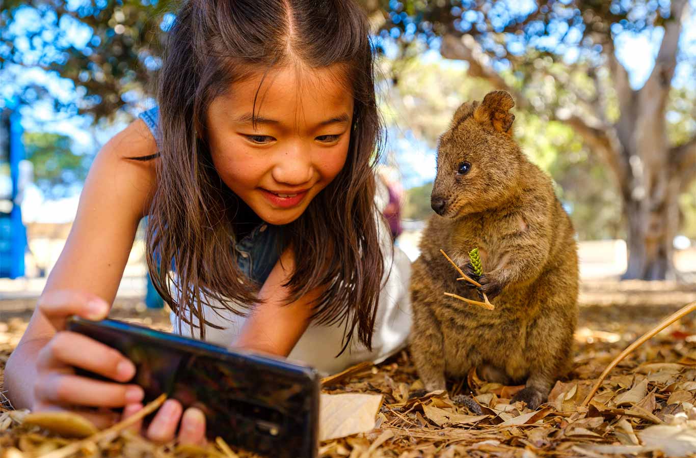 Quokka Selfie Rottnest