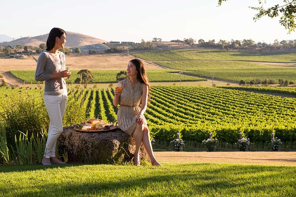 The Yarra Valley and Dandenong Ranges