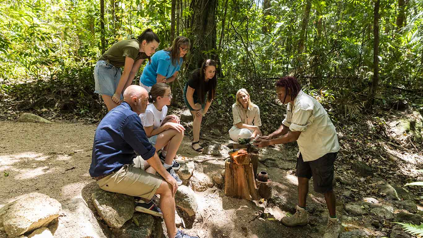 aboriginal daintree