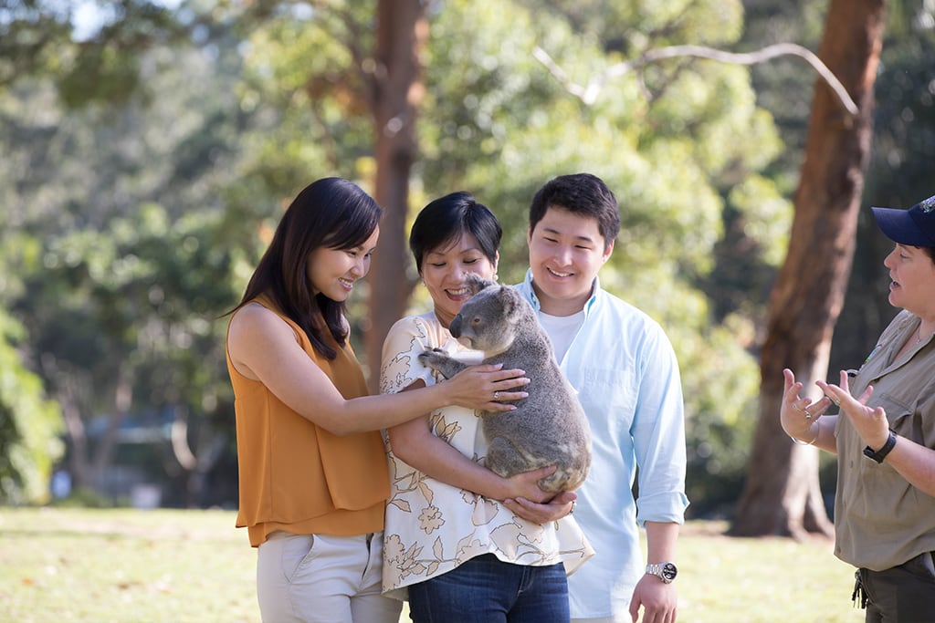 australia-queensland-lone-pine-koalasanctuary