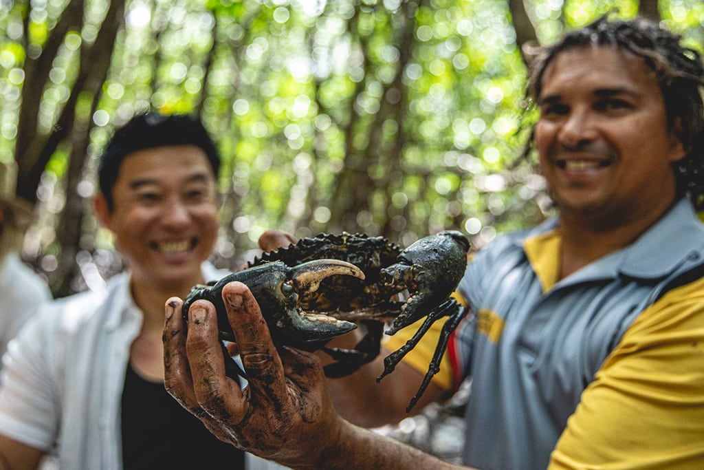 australia-queensland-walkabout-cultural-adventures-seafood