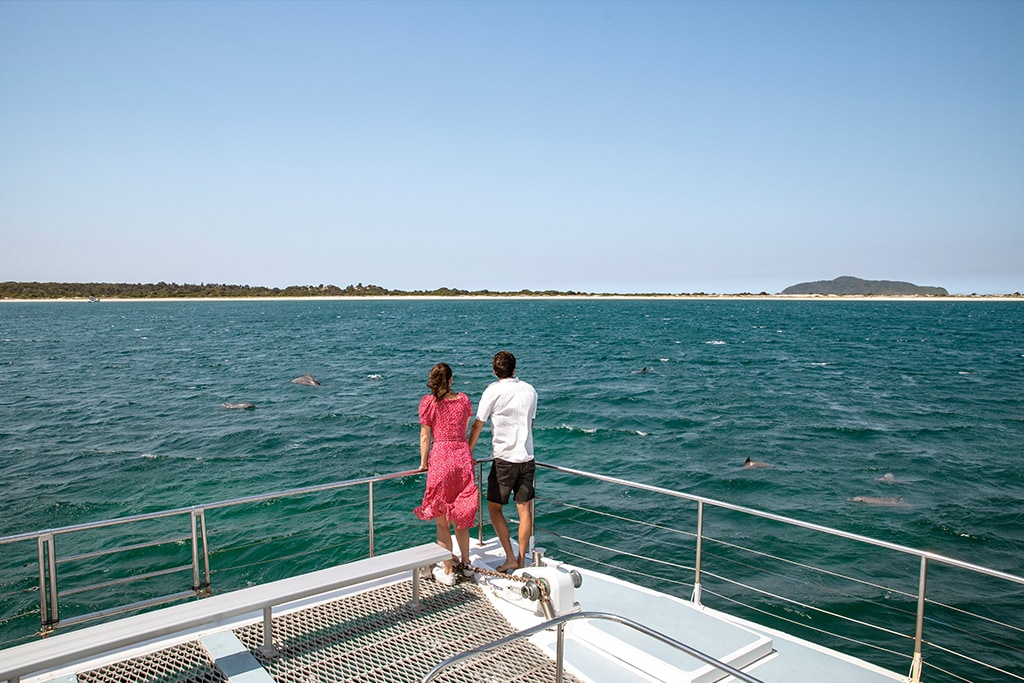 australia-nsw-port-stephens-dolphin