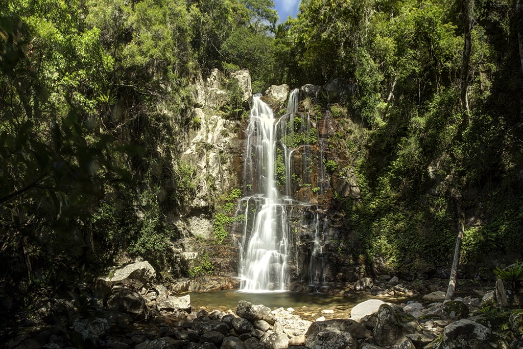 australia-nsw-kiama-minnamurra-rainforest-waterfalls