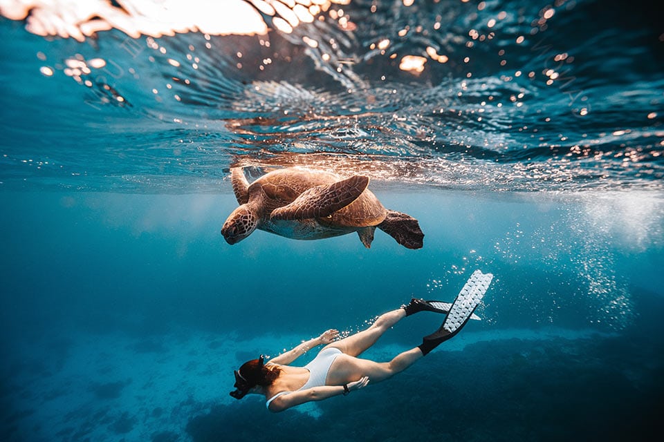 The Great Barrier Reef