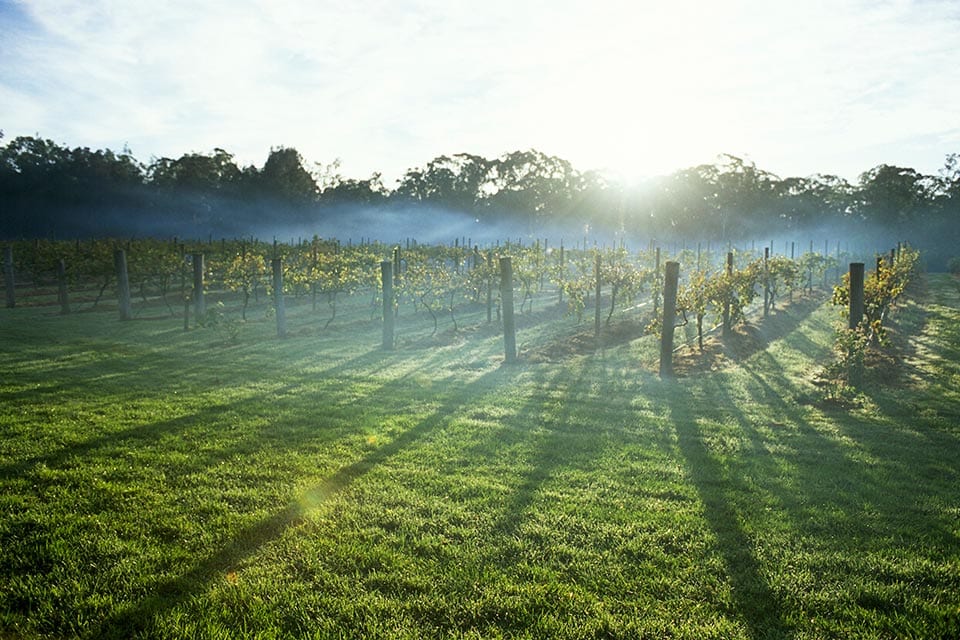 Hunter Valley