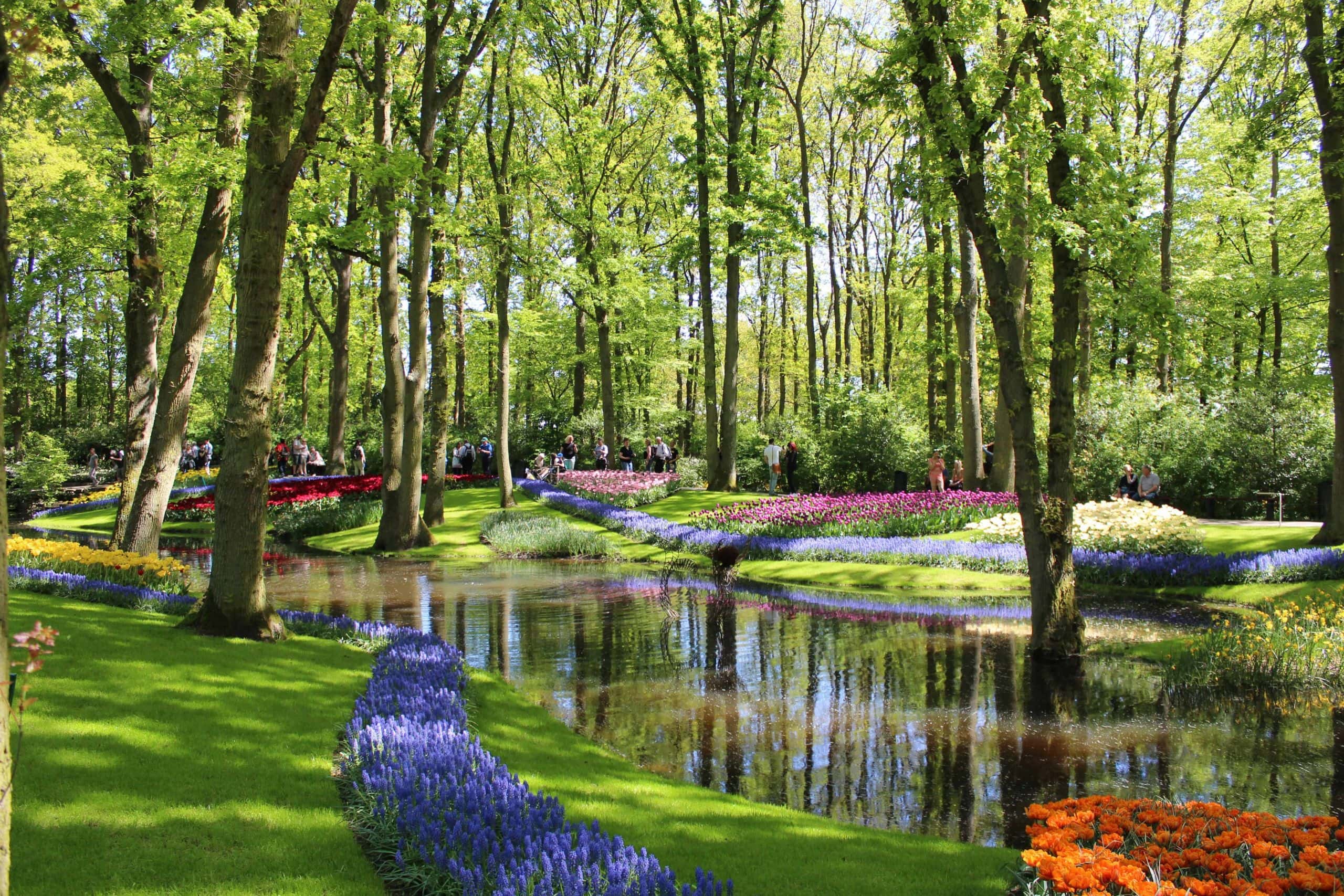 Keukenhof