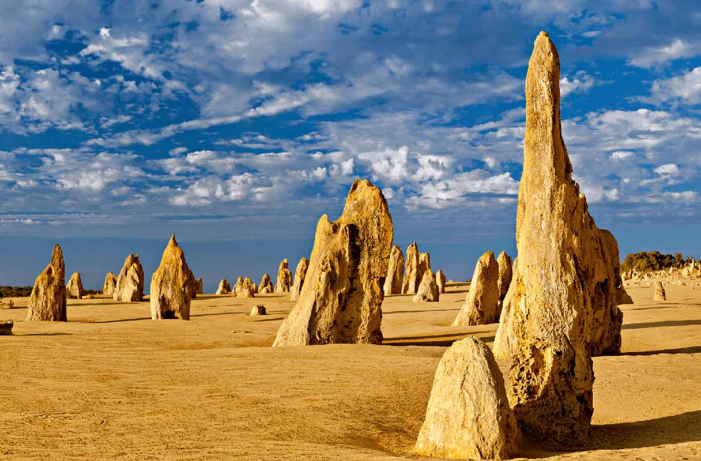 pinnacles moonscape nambung