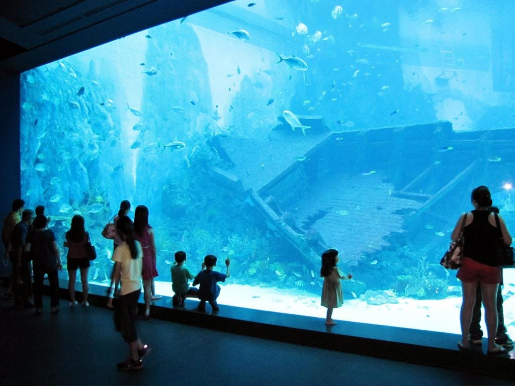 sea aquarium sea-aquarium
