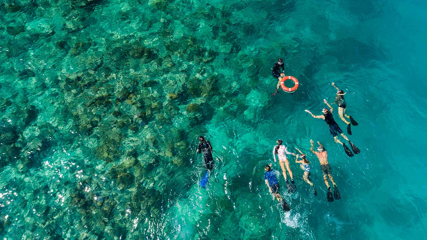 snorkelling great barrier reef