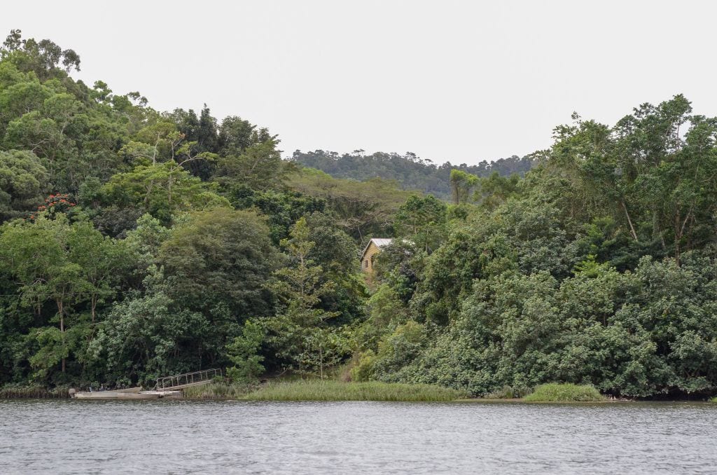 Famous Places In Australia Rainforest