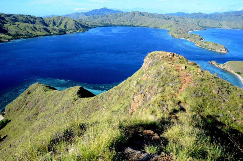 Komodo national park