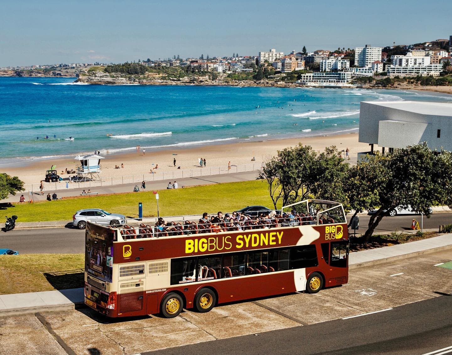 Sydney And New Zealand Family Travel In 2022 Big Bus Sydney