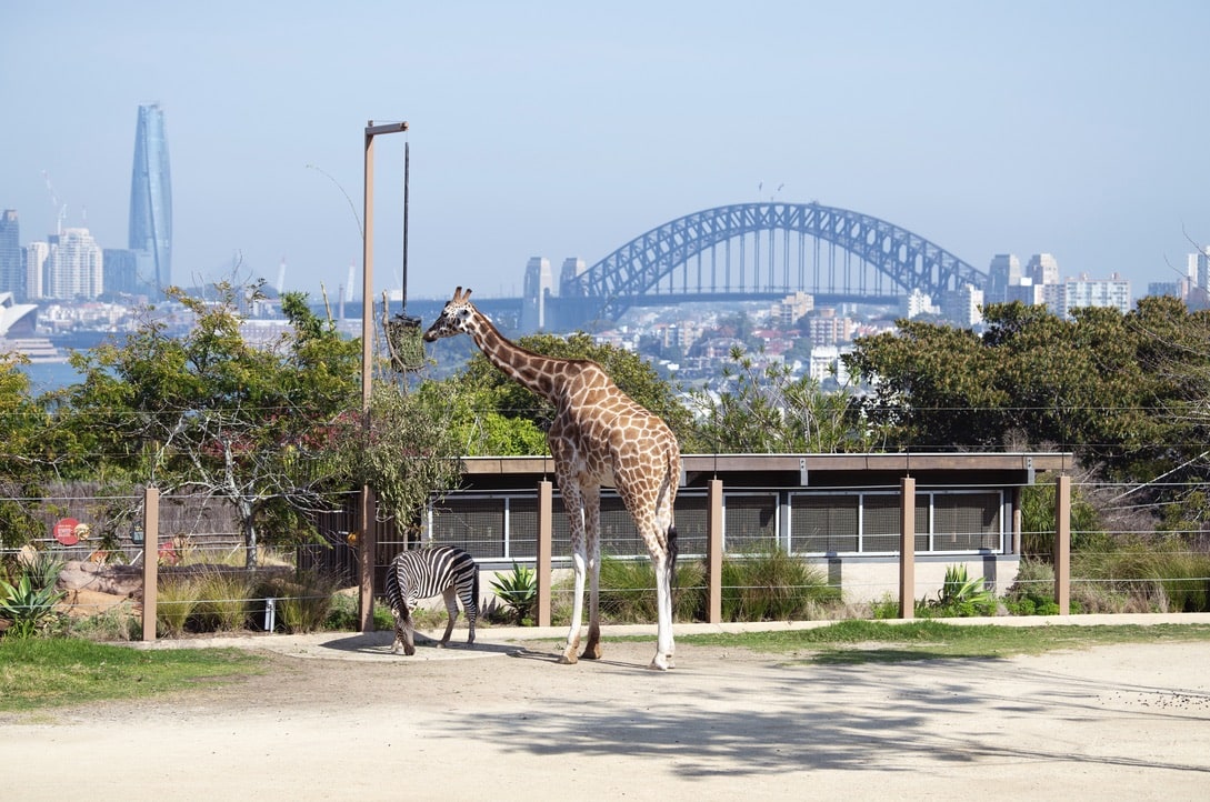 Taronga Zoo Sydney, Mosman