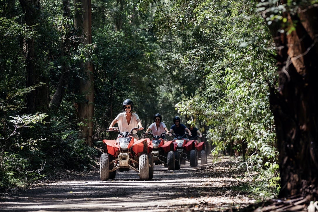 Quadbiking in Glenworth