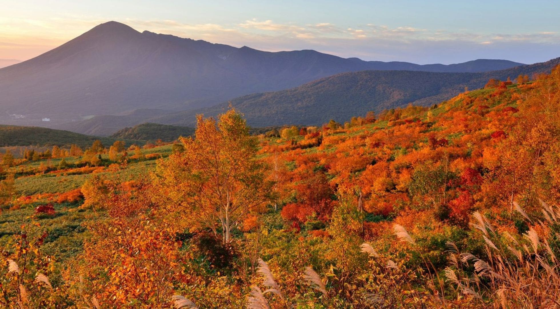 Hachimantai Forest Bathing in Japan