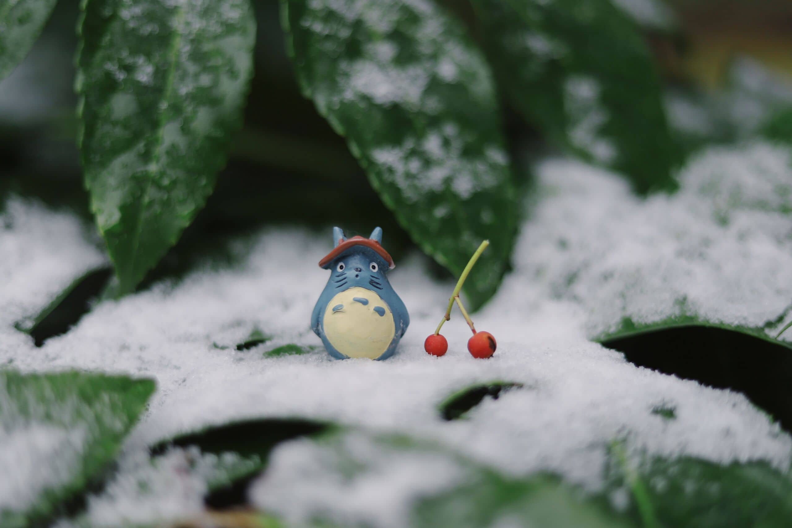 Totoro Forest Bathing scaled totoro-studio-ghibli