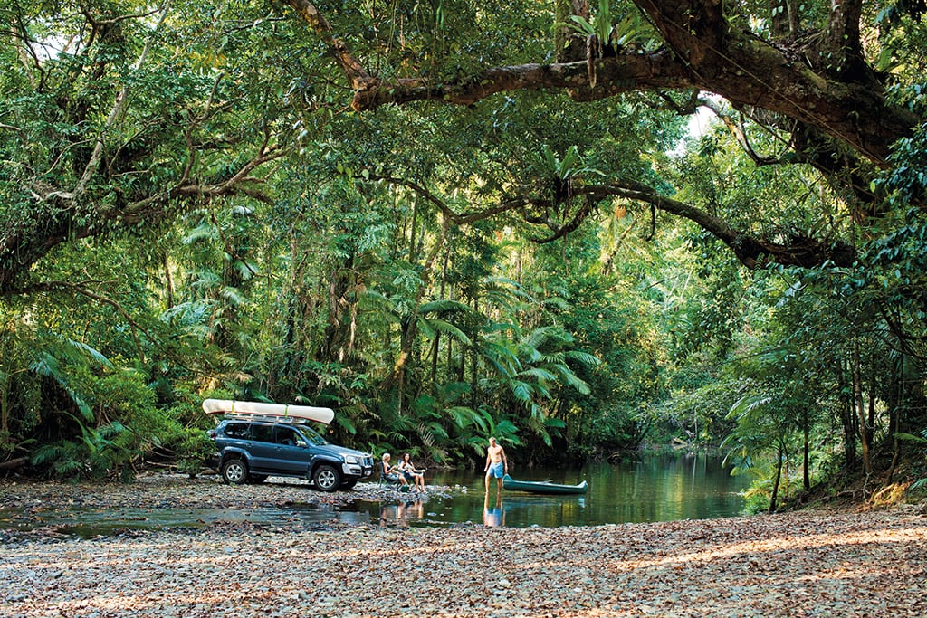 australia 01 queensland port douglas daintree