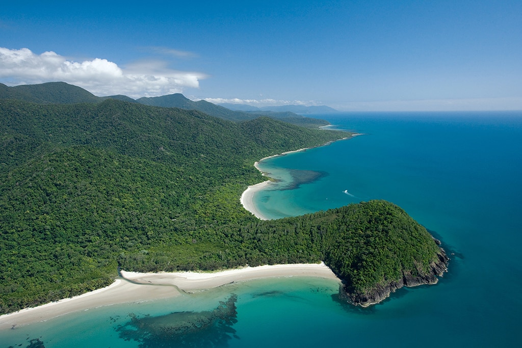 australia 05 queensland cape tribulation