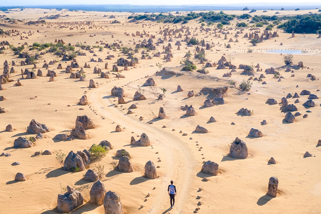 australia-western-australia-nambung-national-park