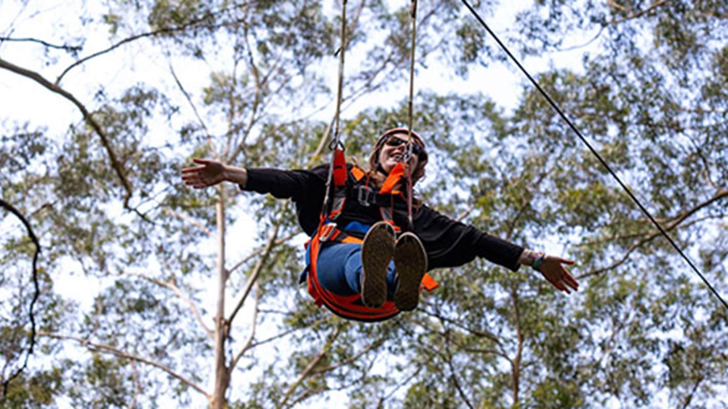 zipwire ticket3 Illawara Fly Treetop Adventure Park