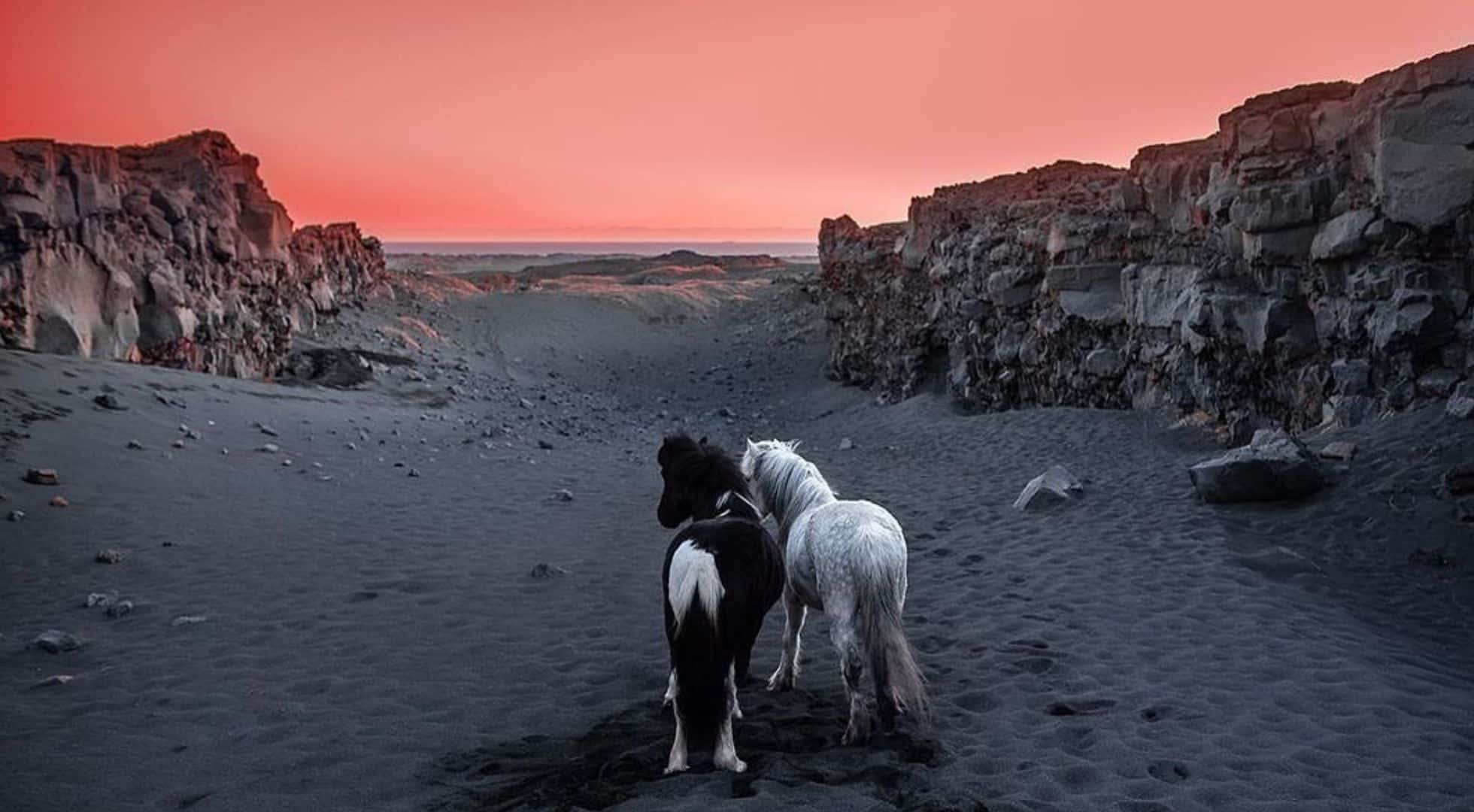 Iceland's midnights sun takes place in summer