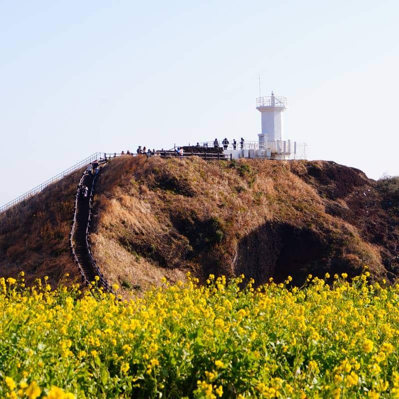 Seoul Jeju Island Lighthouse MATTA September 2022