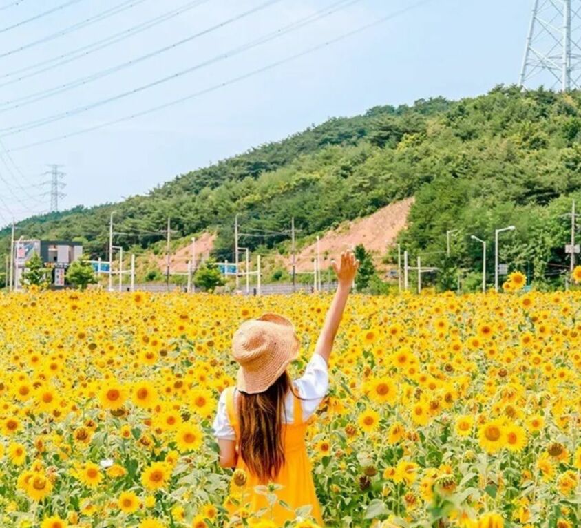 travel_south_korea