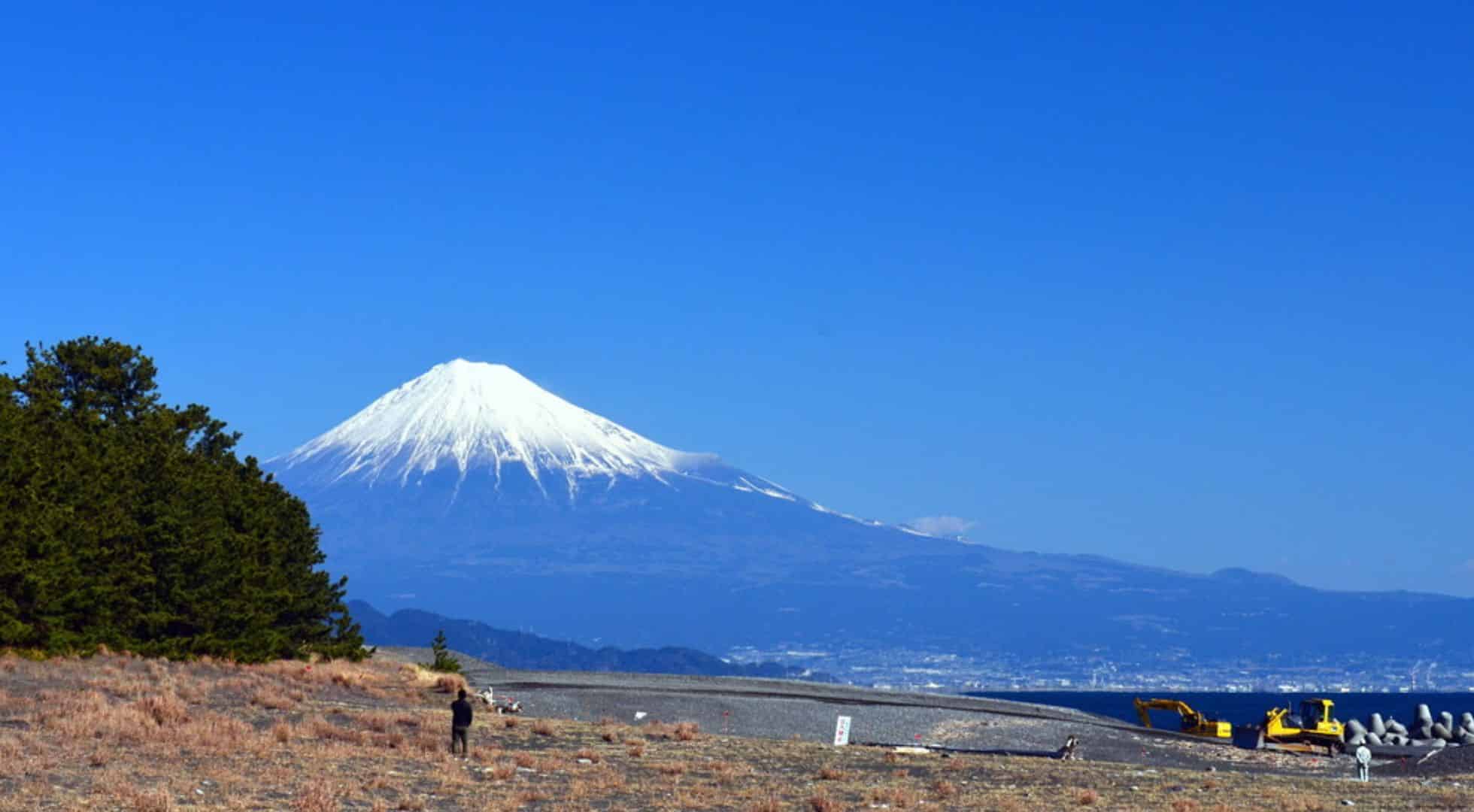 Japanese cruise ships go to famous ports in the country