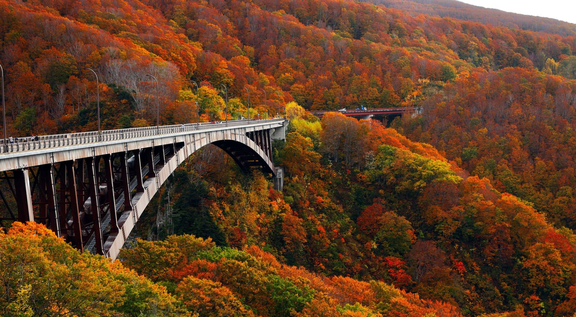 There is time to enjoy the vistas, food and culture of Japan while on a cruise vacation 