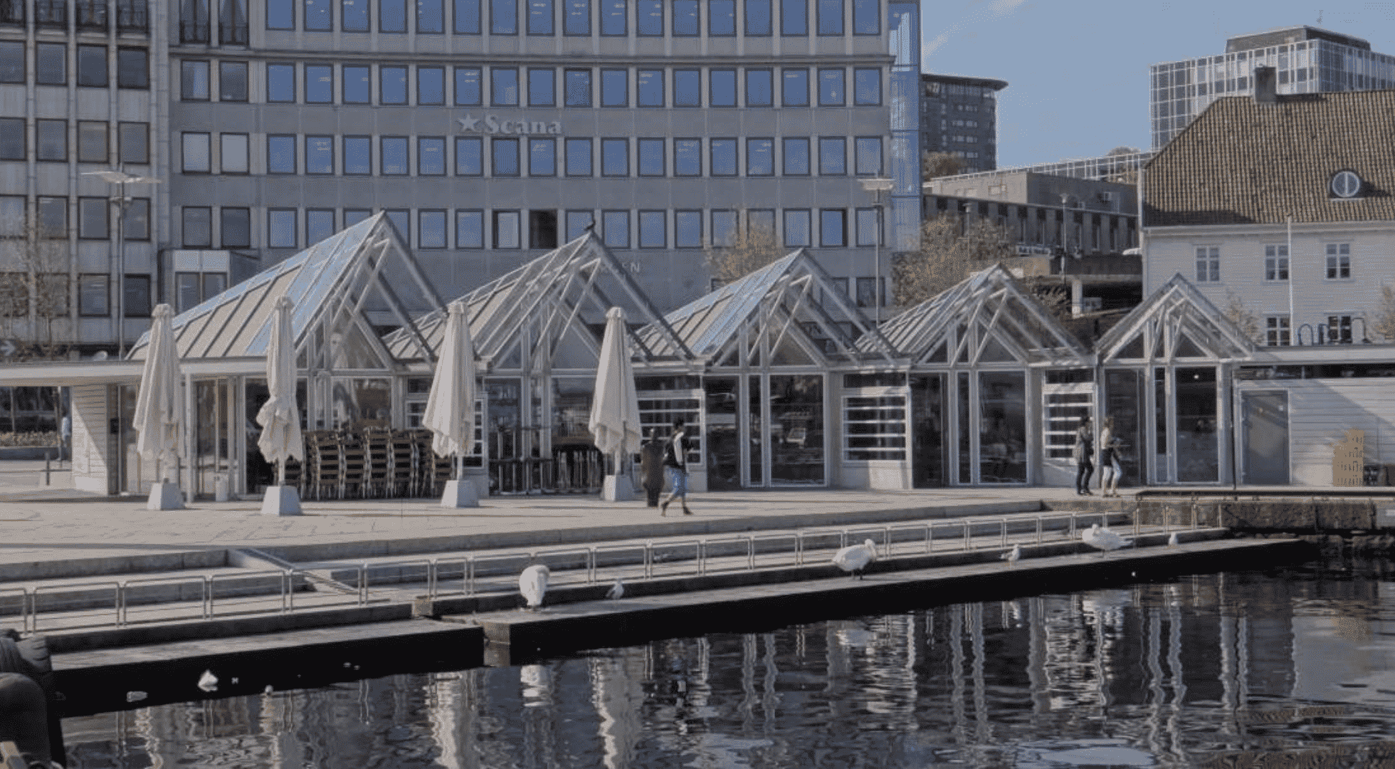 norway-travel-fish-market