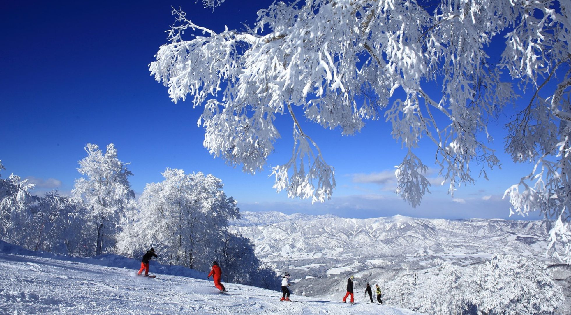 Japan skiing and snowboarding is a popular sport