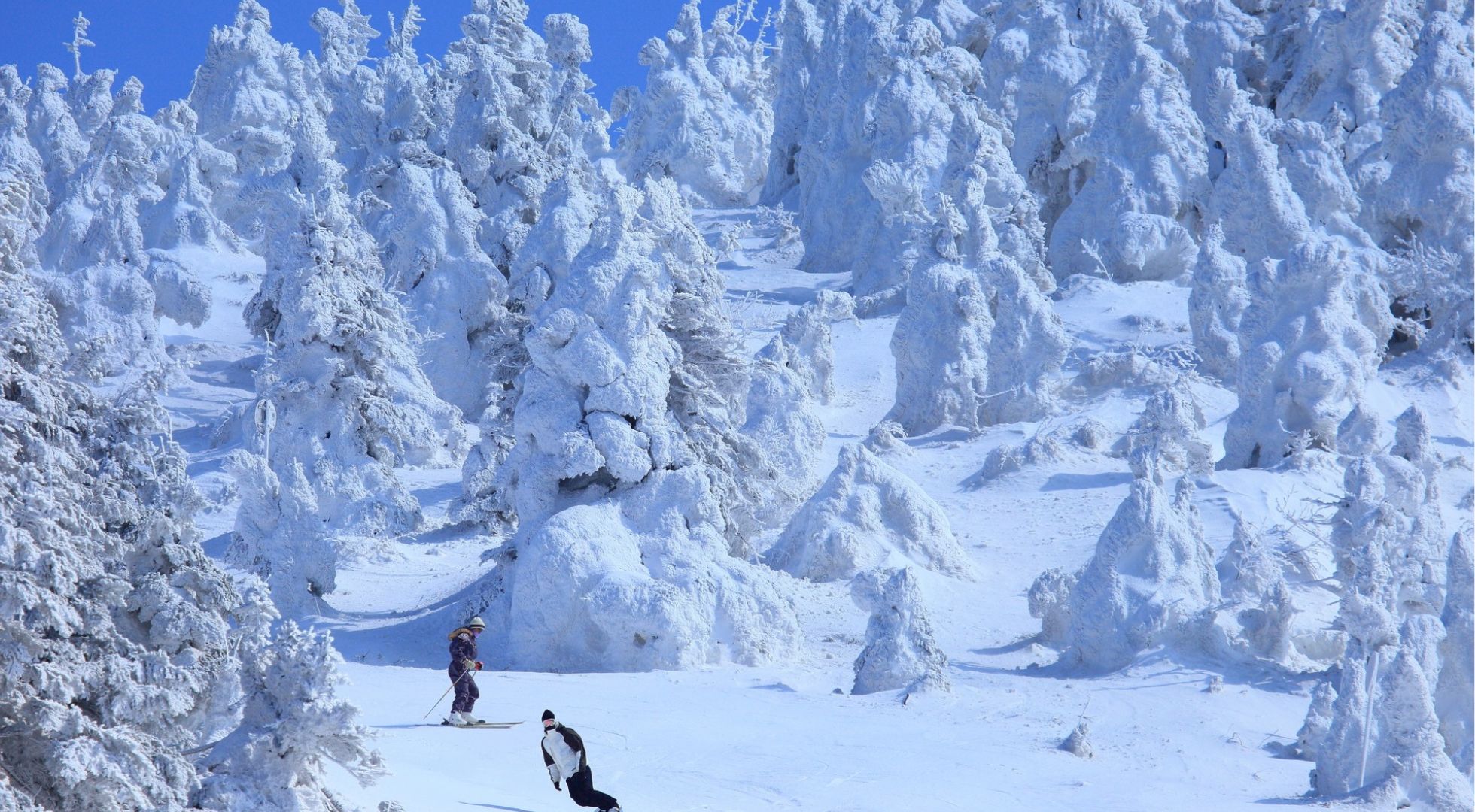 Japan skiing is legendary among the global winter sports community