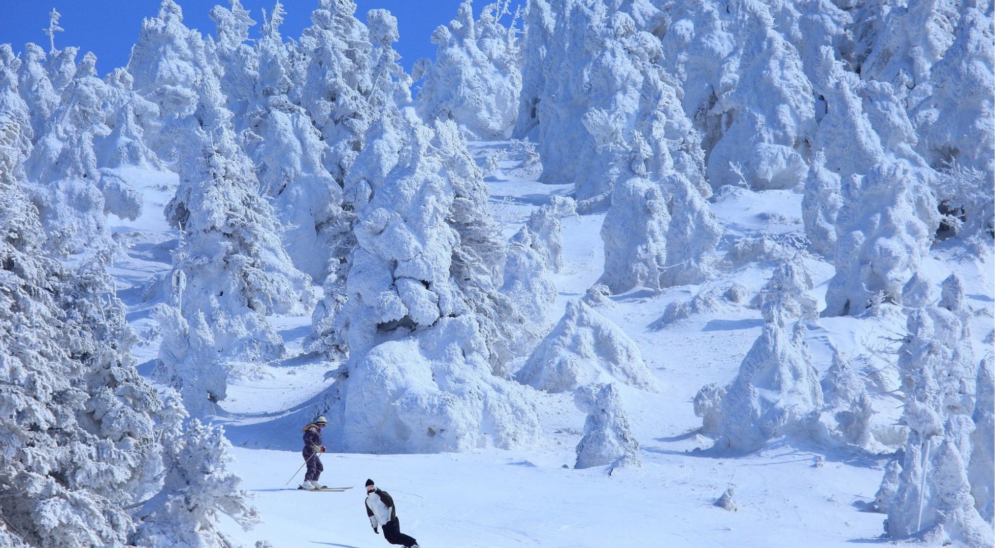 Japan wintersports Japan skiing is legendary among the global winter sports community