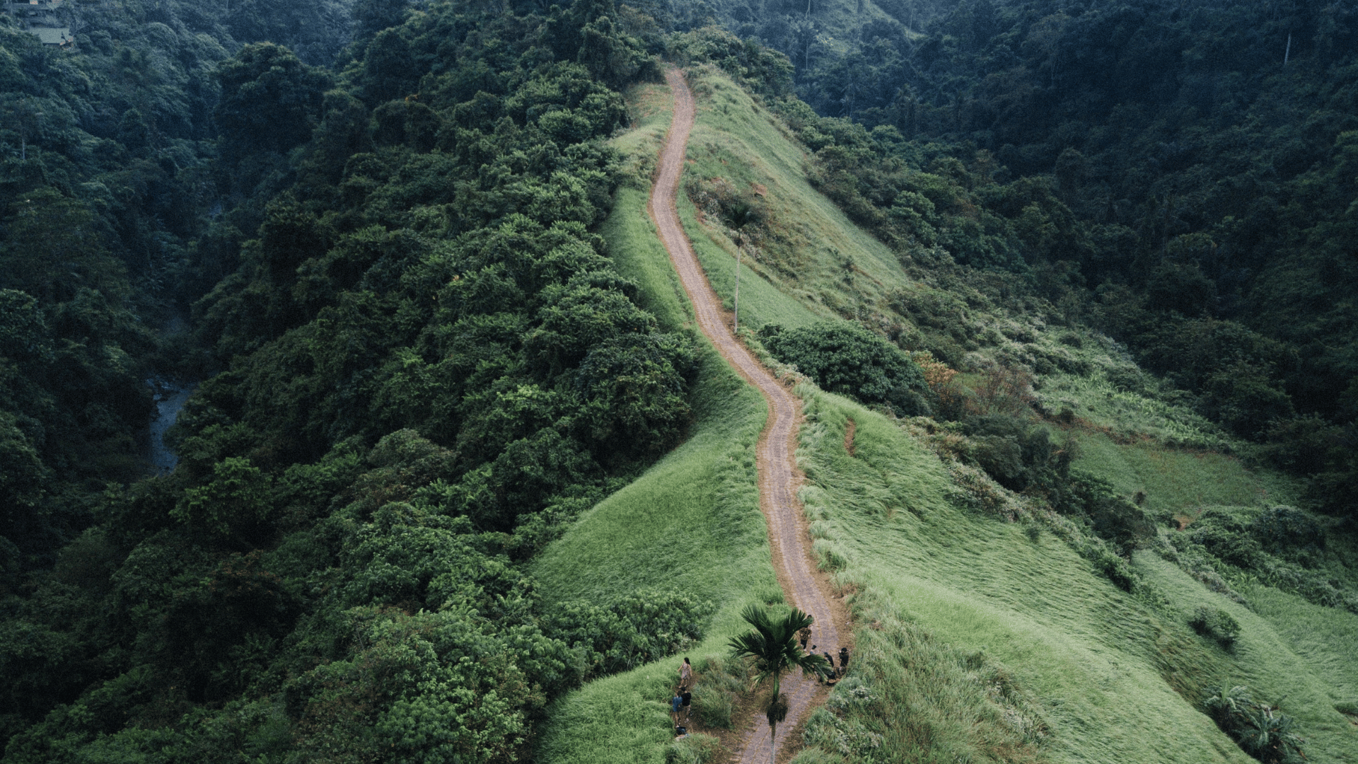 campuhan ridge walk best honeymoon places