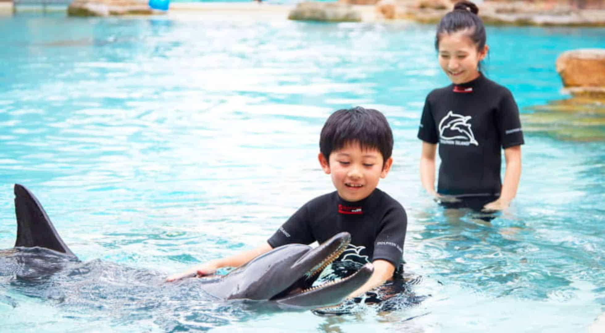 dolphin dicoveries dolphin-discoveries