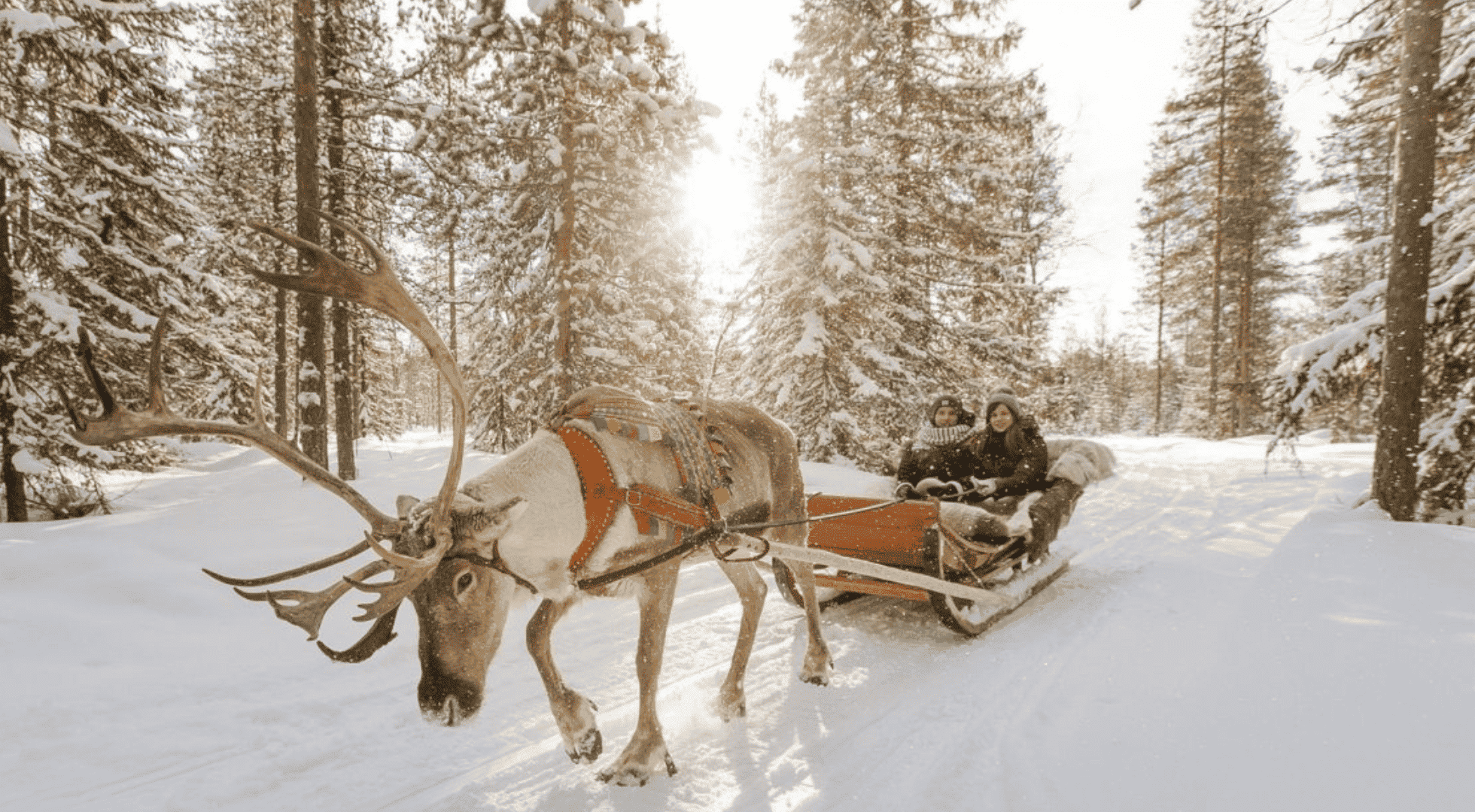 finland reindeer farm 3 christmas vacations