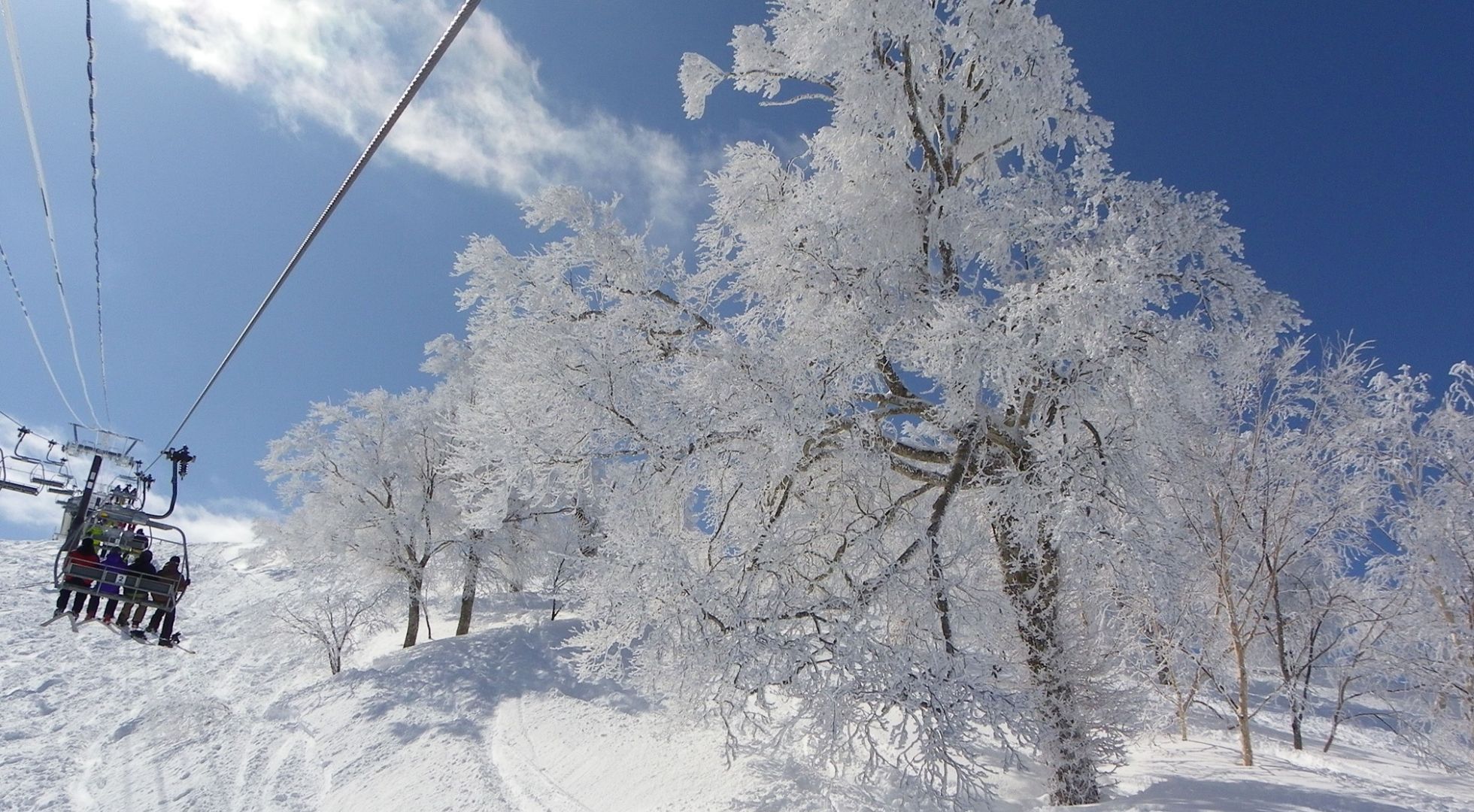 Japan ski resorts receive visitors from around the world every year
