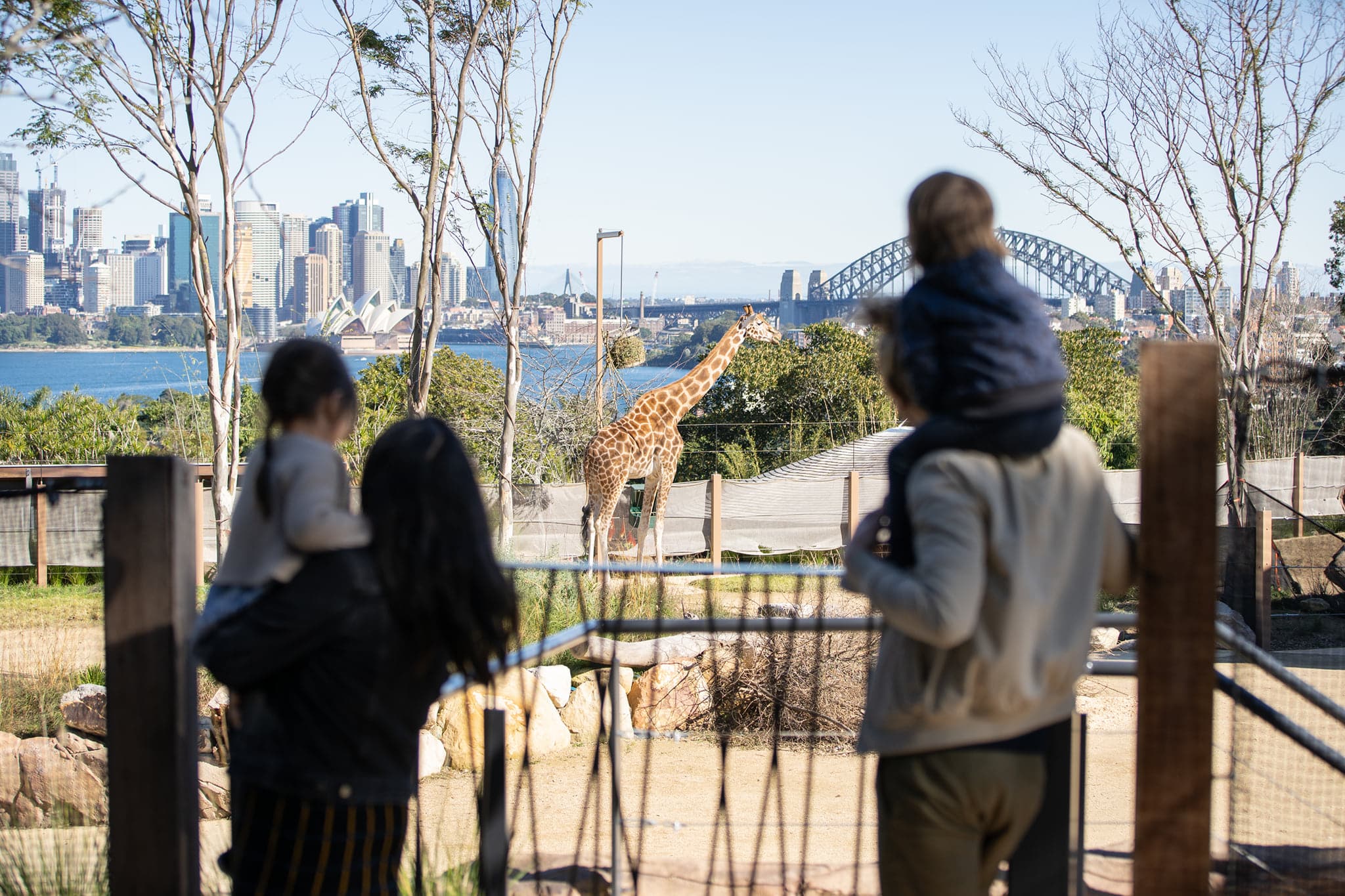 taronga-zoo-sydney