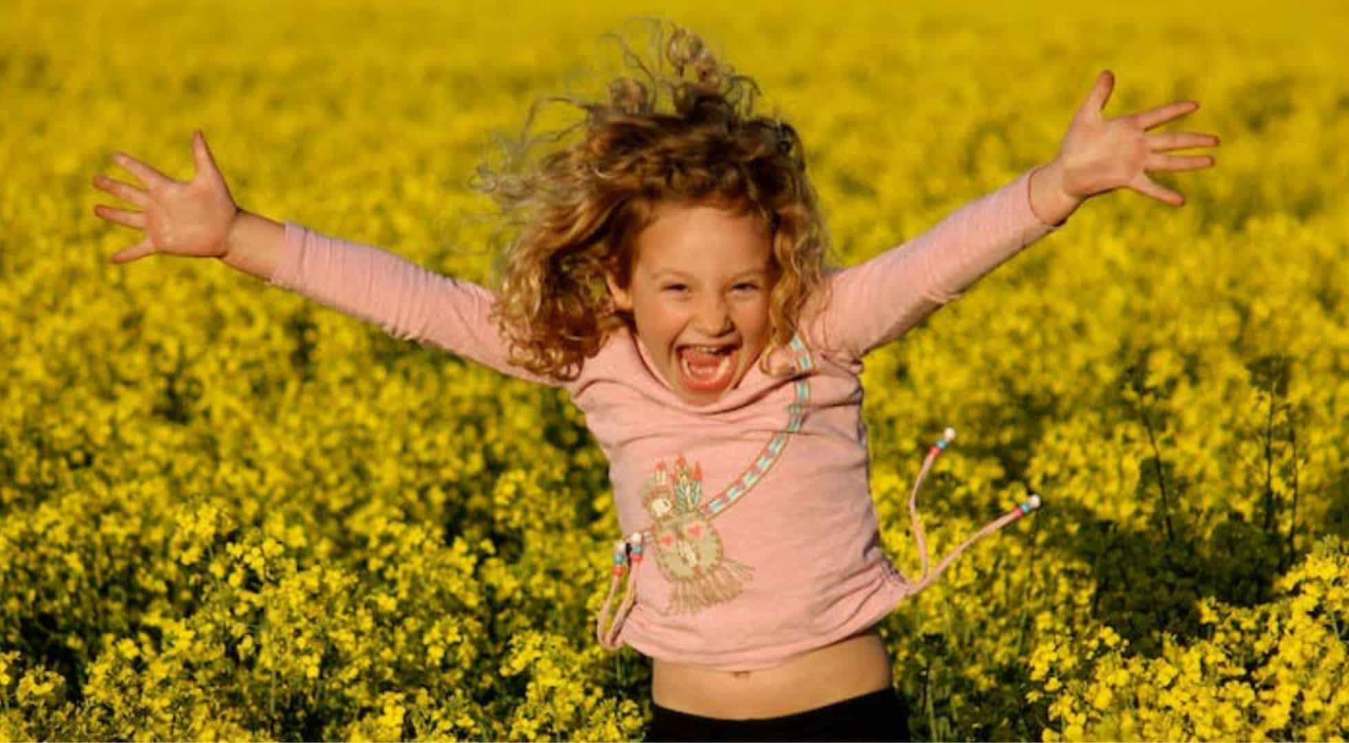 The Canola Trail highlights canolas in NSW