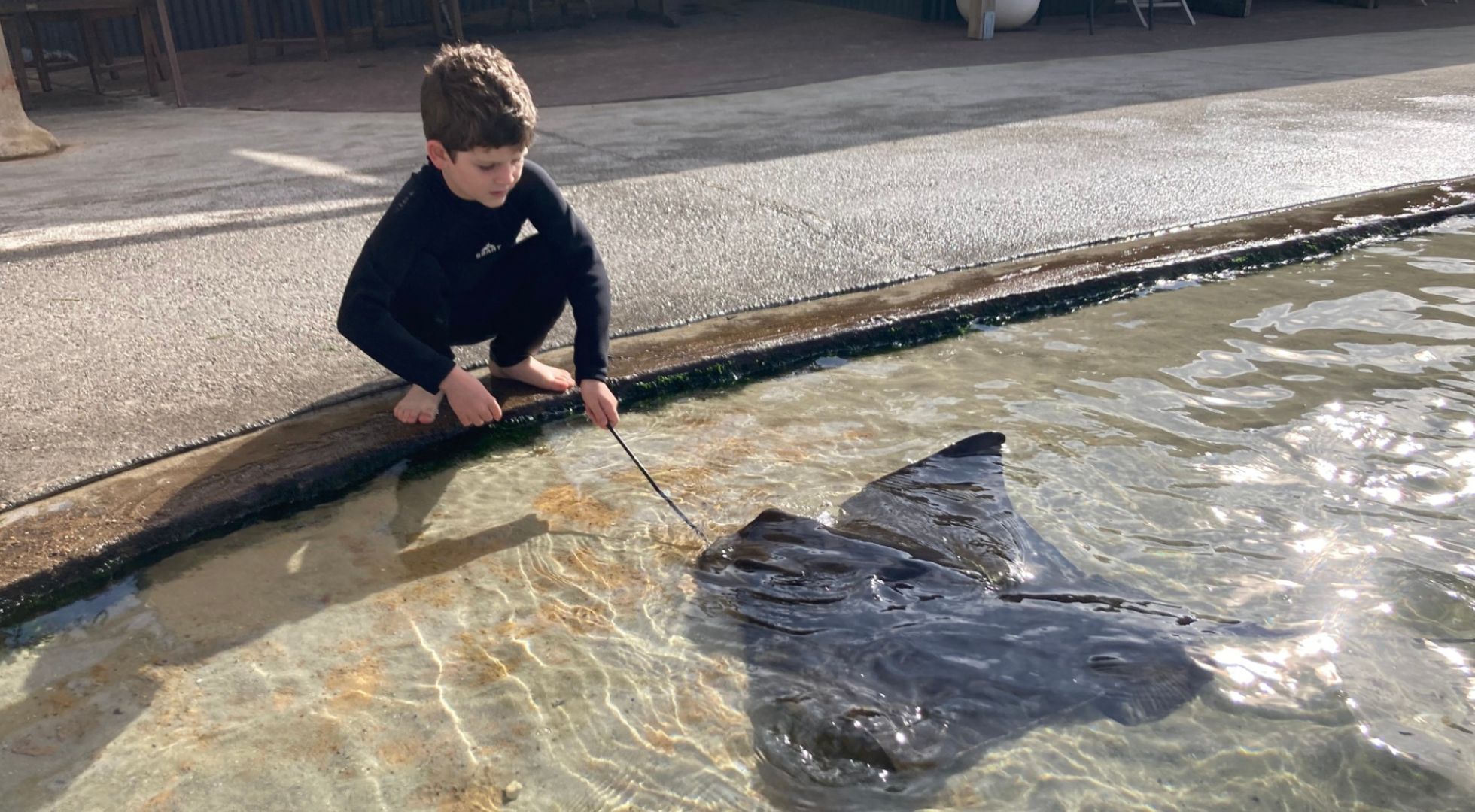 Learn about marine animals in Sydney