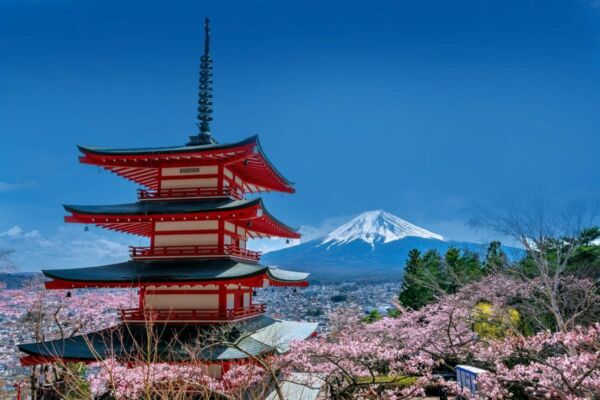 Cherry blossoms in spring, Chureito pagoda and Fuji mountain in Japan Tokyo Mount Fuji view from Chureito Pagoda