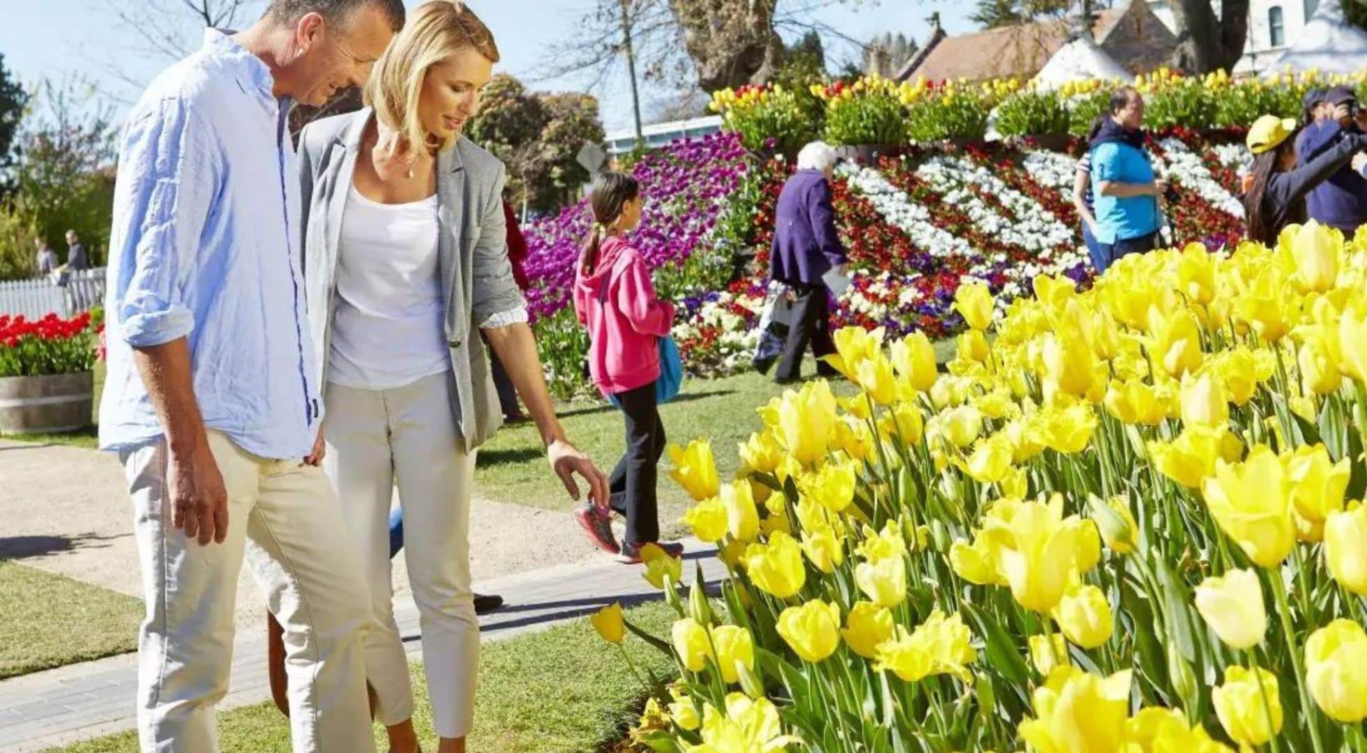 Visit New South Wales for spring blooms