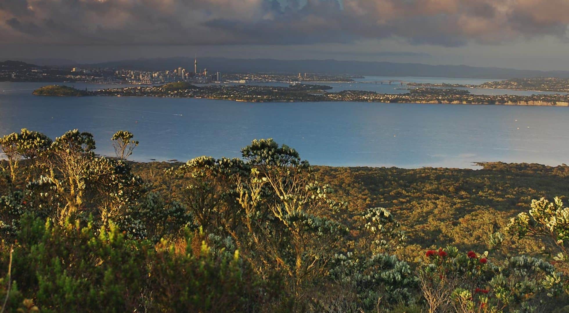 rangitoto-island