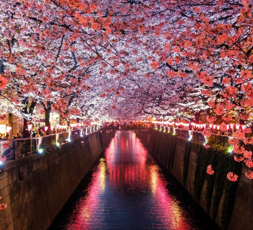 tokyo_travel