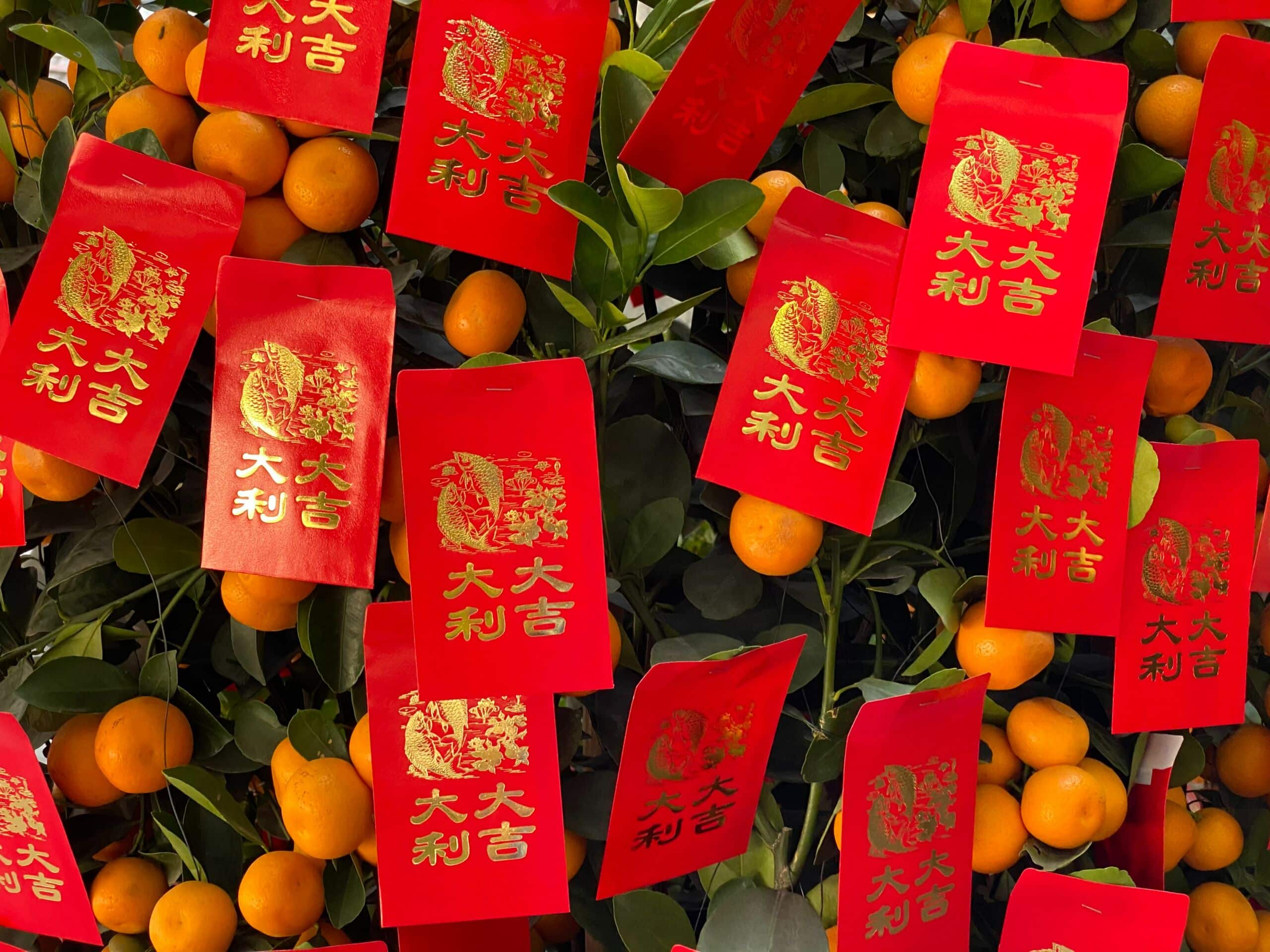 ang pow kumquat scaled chinese new year decorations