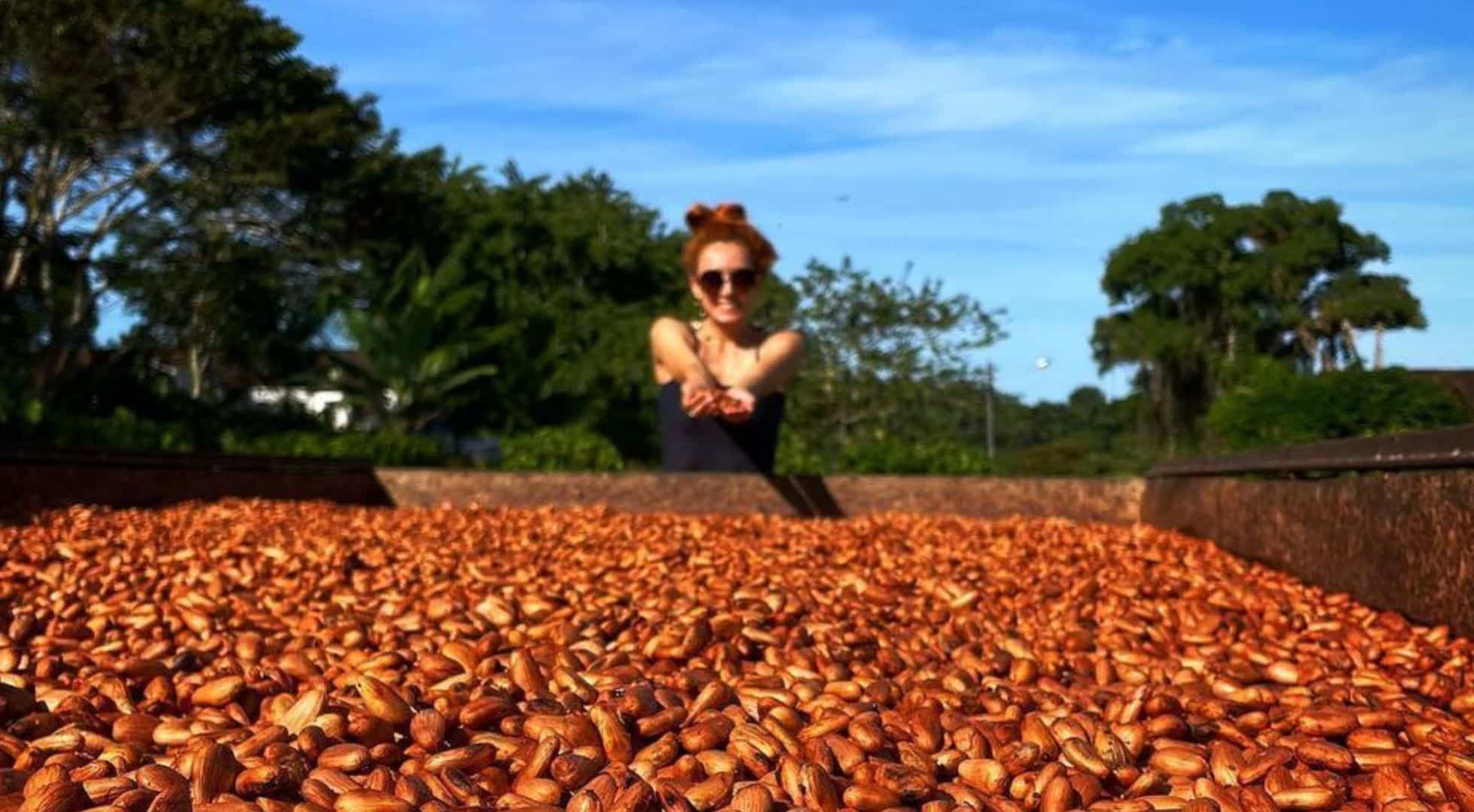 BrazilCoffee Coffee Travel Brazil